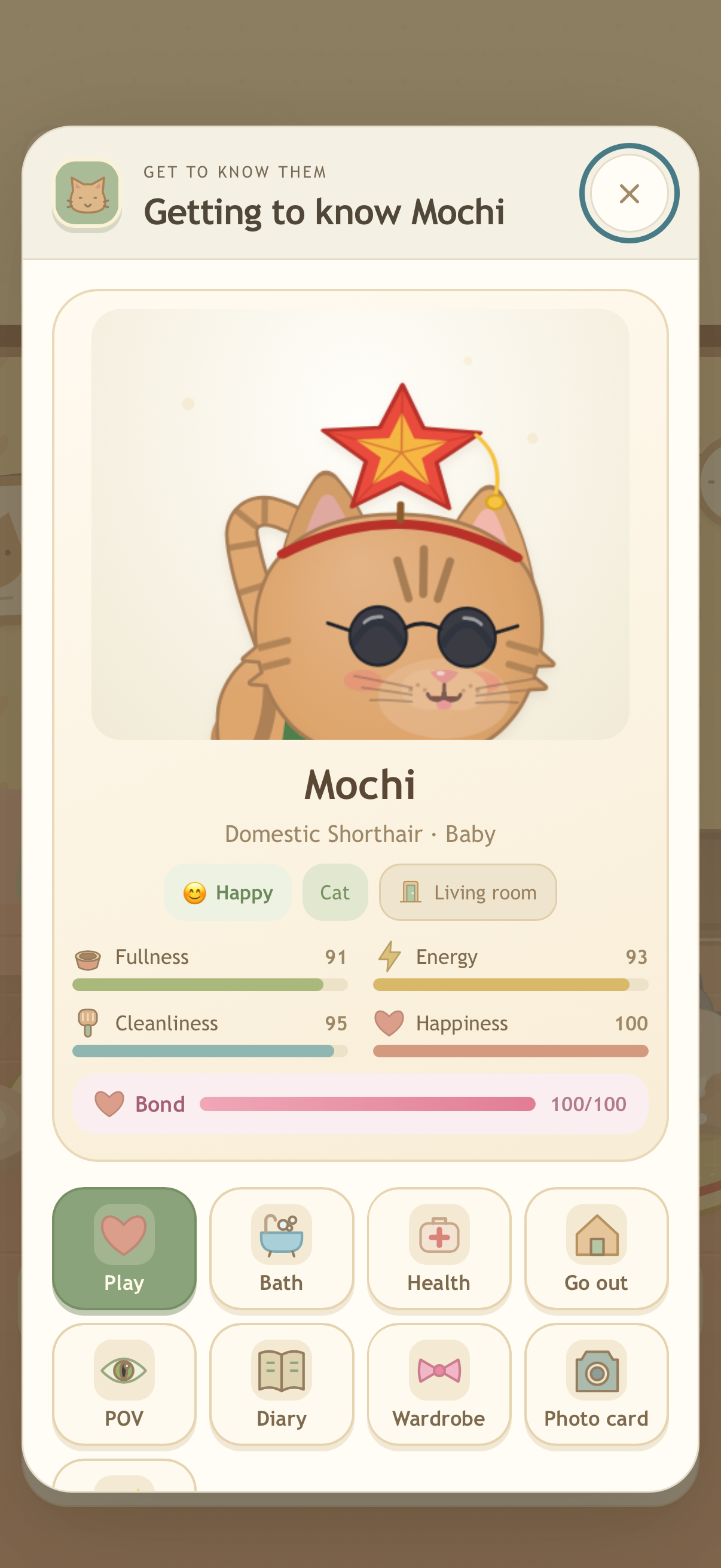 A pet care profile with feeding, grooming, and play activities