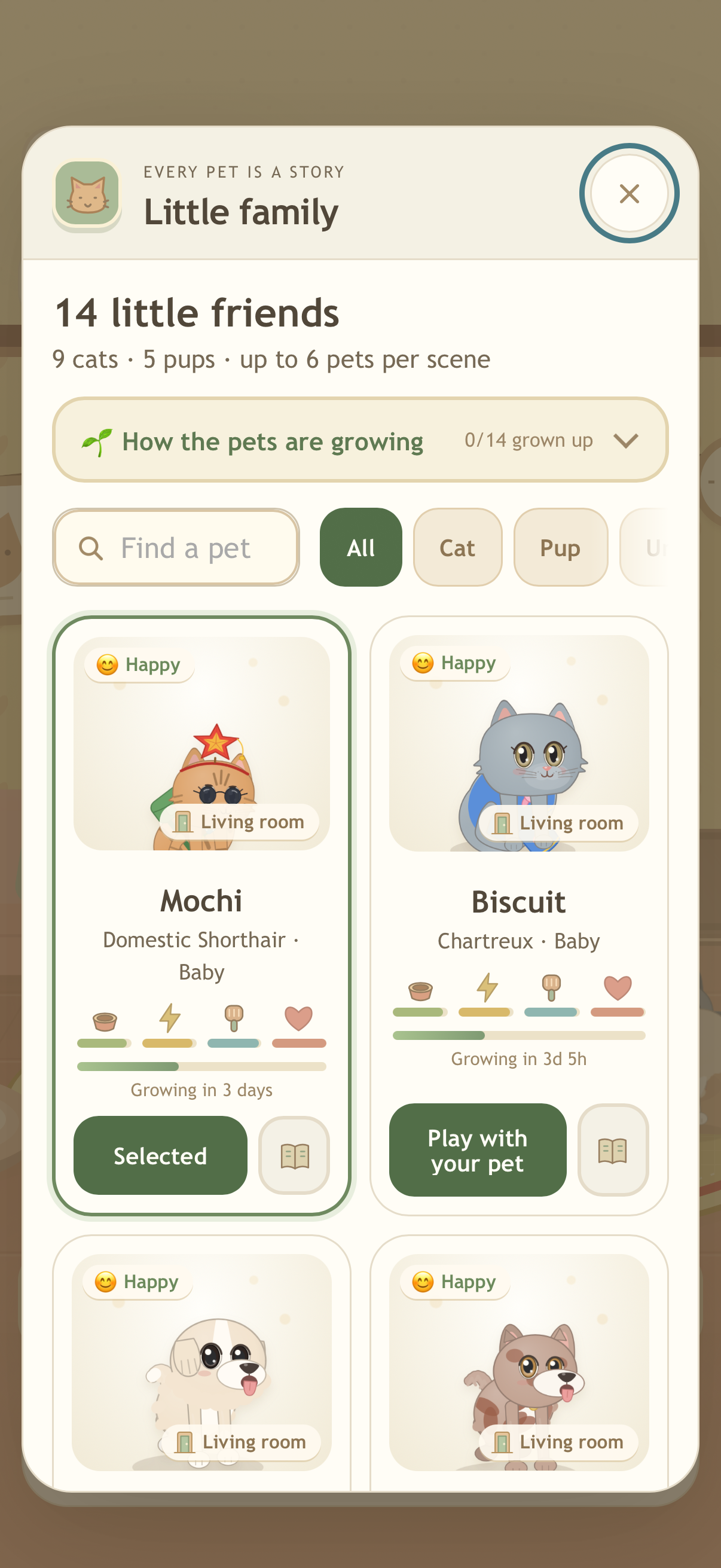 The pet family screen, with different cats and dogs